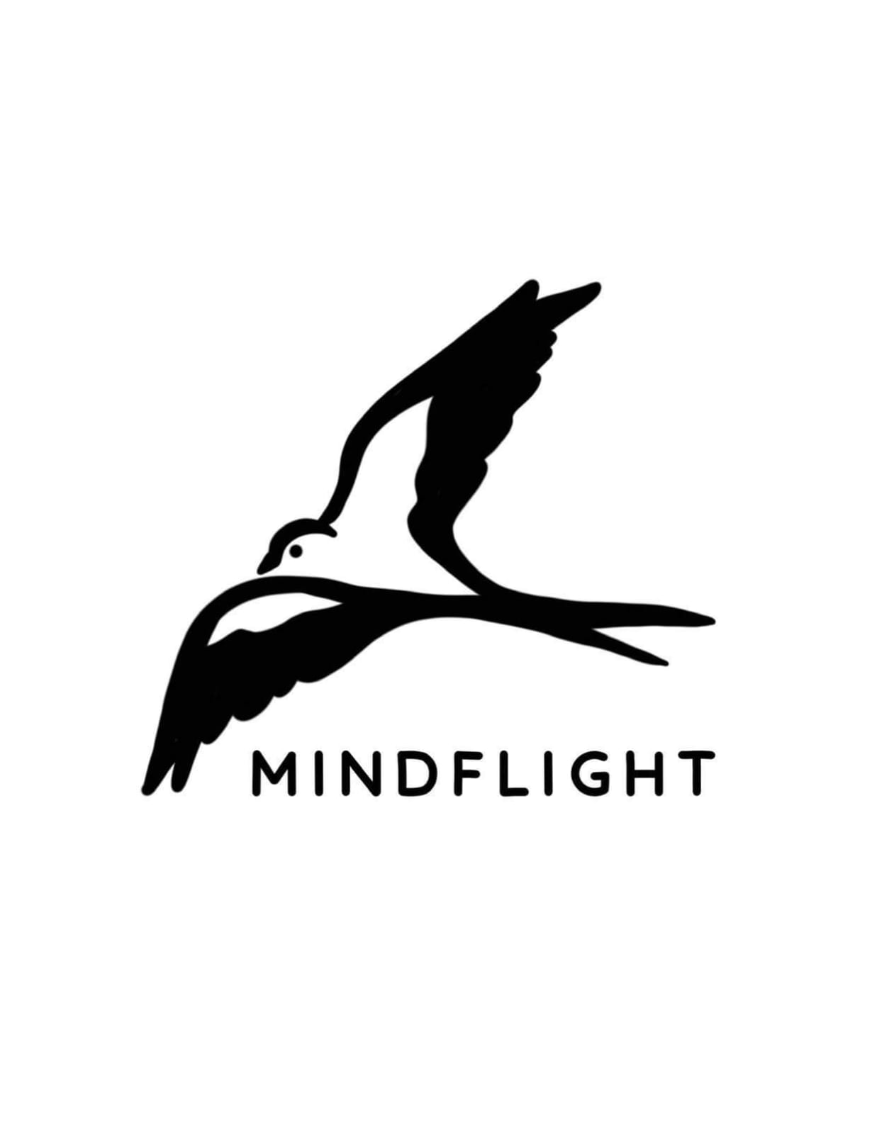 MindFlight Jounal logo
