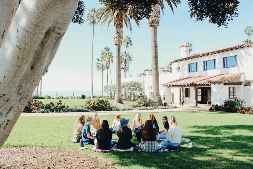 A group of women sat in a circle on the grass Surrounded by palm trees with the ocean far in the distance 