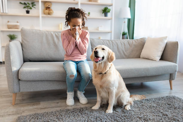 nimal Allergy Concept. Sick African American girl sneezing and holding tissue, ill kid suffering from nasal congestion and runny nose caused by her dog, sitting on sofa at home