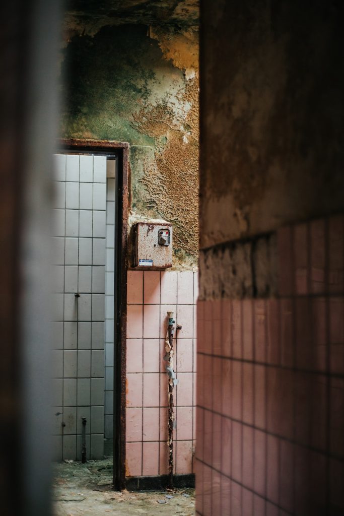 Old building hallway covered in mold 